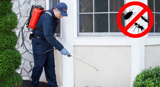 Havran Bit İlaçlama böcek ilaçlama ve haşere kontrolü — ilaclama-tr.com